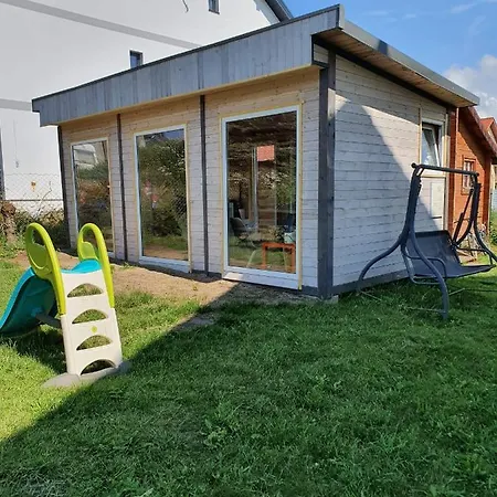 Meduza Проживание в семье Ярославец