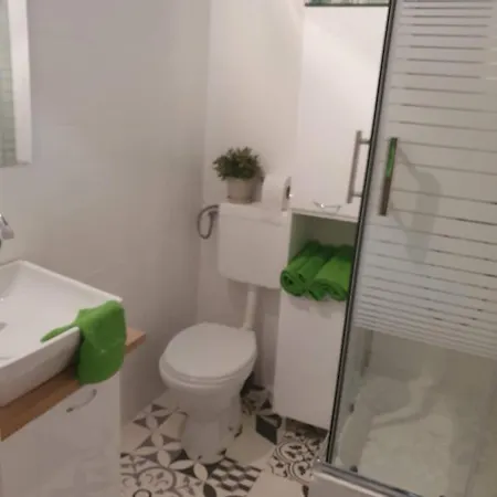 Meduza Проживание в семье