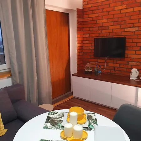 Проживание в семье Meduza *