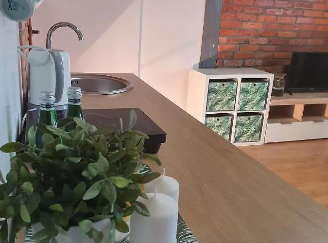 Meduza * Jarosławiec